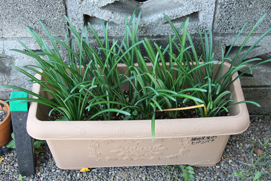 f:id:takahikonojima:20171110165635j:plain