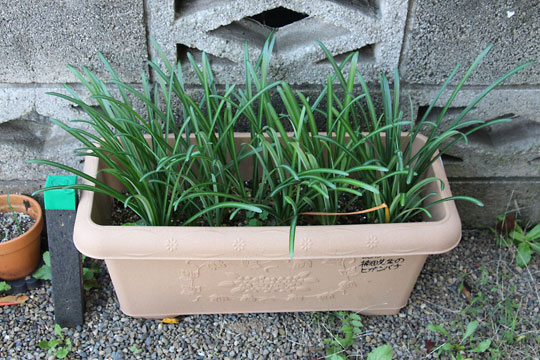 f:id:takahikonojima:20171110165648j:plain