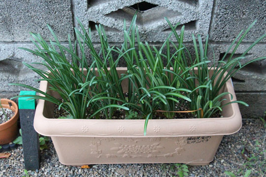 f:id:takahikonojima:20171111115510j:plain