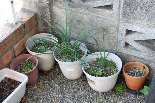 f:id:takahikonojima:20171111115656j:plain