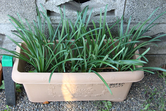 f:id:takahikonojima:20171111115702j:plain