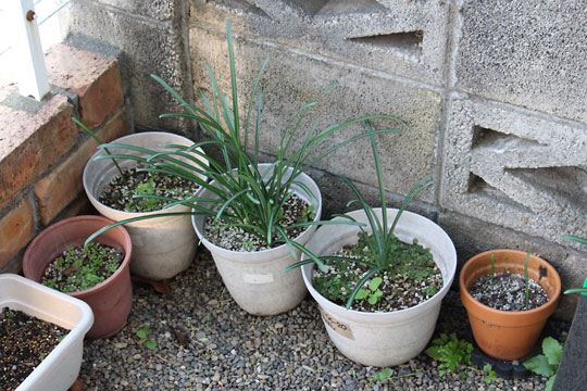 f:id:takahikonojima:20171111115923j:plain