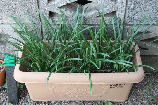 f:id:takahikonojima:20171111115934j:plain