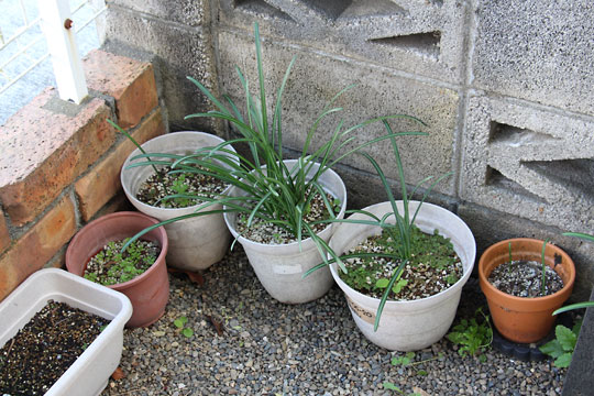 f:id:takahikonojima:20171111115942j:plain