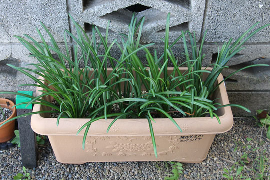 f:id:takahikonojima:20171111115951j:plain