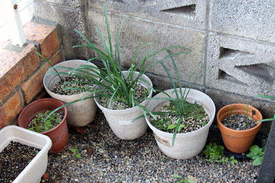 f:id:takahikonojima:20171118184852j:plain