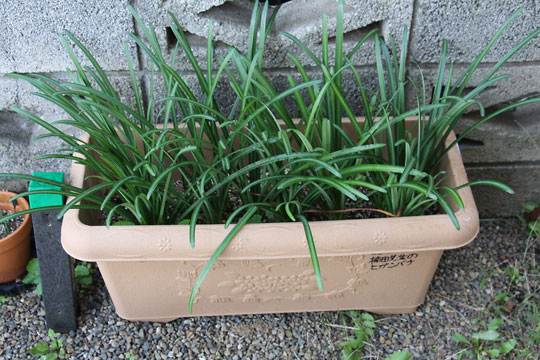 f:id:takahikonojima:20171118184900j:plain