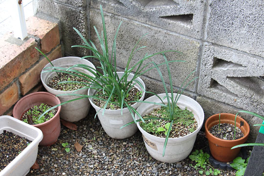 f:id:takahikonojima:20171118184908j:plain