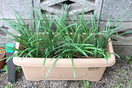 f:id:takahikonojima:20171118184923j:plain