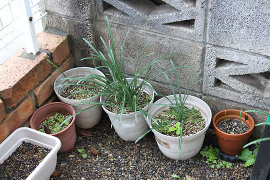 f:id:takahikonojima:20171118184934j:plain