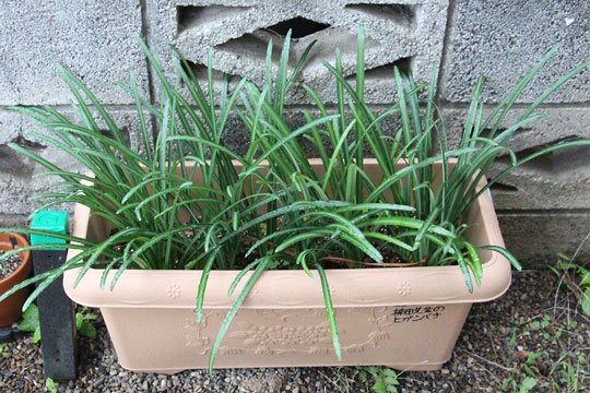 f:id:takahikonojima:20171118184945j:plain