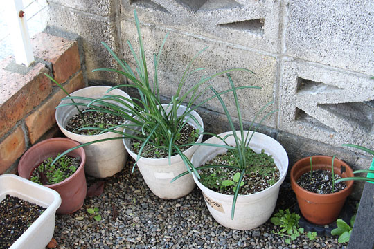 f:id:takahikonojima:20171118184951j:plain