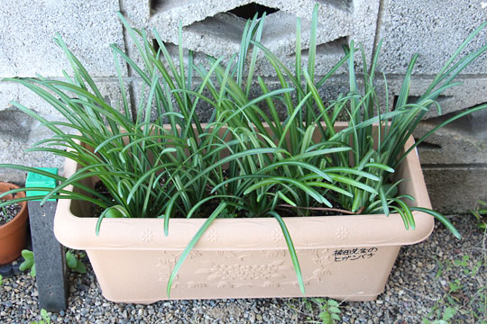 f:id:takahikonojima:20171118185002j:plain