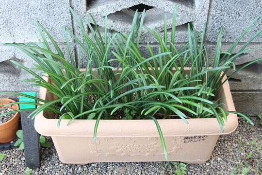 f:id:takahikonojima:20171118185022j:plain