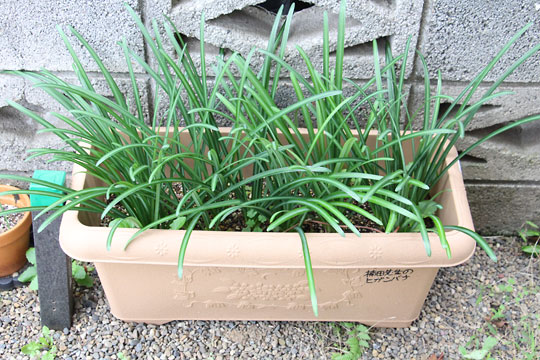 f:id:takahikonojima:20171118185107j:plain