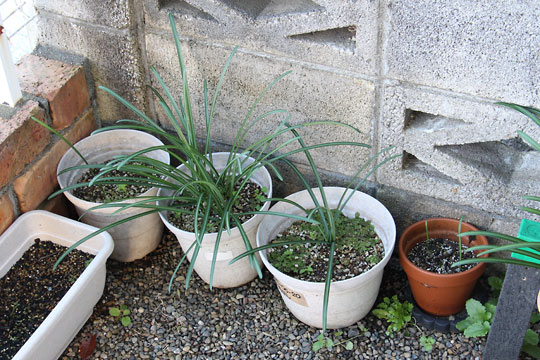 f:id:takahikonojima:20171125141553j:plain f:id:takahikonojima:20171125141553j:plain