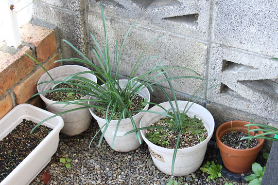 f:id:takahikonojima:20171203102156j:plain