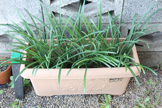 f:id:takahikonojima:20171203102204j:plain