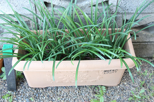 f:id:takahikonojima:20171203102232j:plain