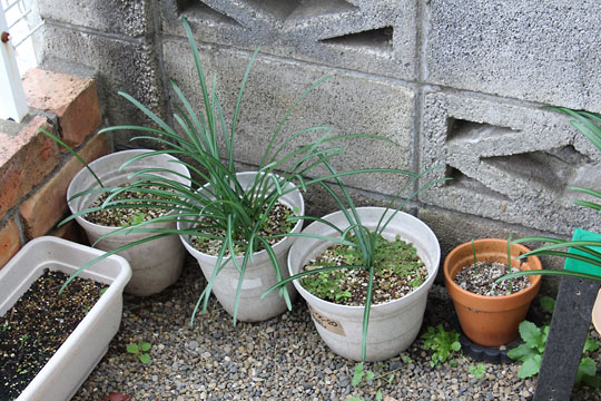 f:id:takahikonojima:20171203102258j:plain