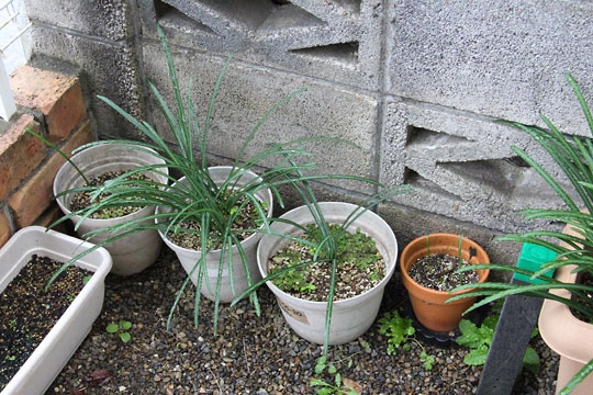 f:id:takahikonojima:20171203102317j:plain