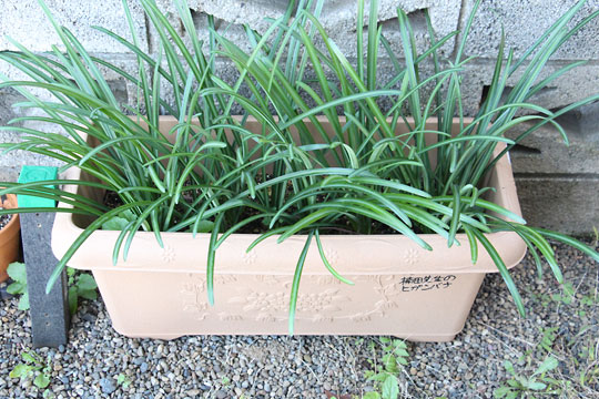 f:id:takahikonojima:20171203102341j:plain