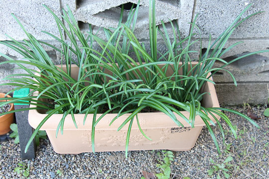 f:id:takahikonojima:20171209104251j:plain