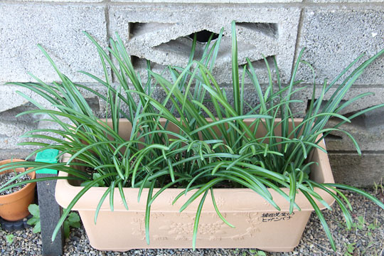 f:id:takahikonojima:20171209104309j:plain