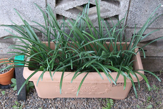 f:id:takahikonojima:20171209104342j:plain