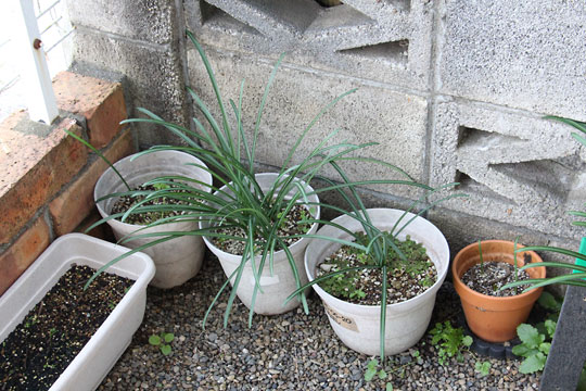 f:id:takahikonojima:20171209104419j:plain