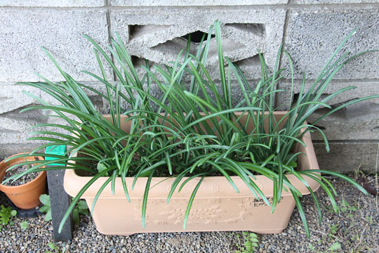 f:id:takahikonojima:20171209104427j:plain