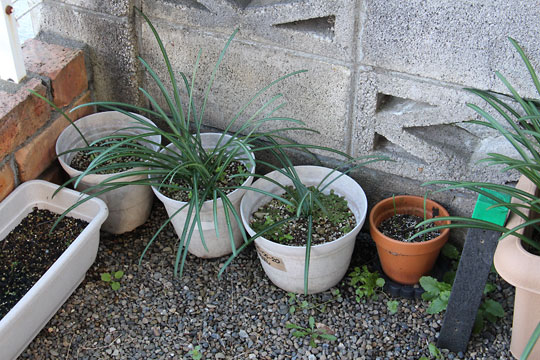 f:id:takahikonojima:20171209104437j:plain