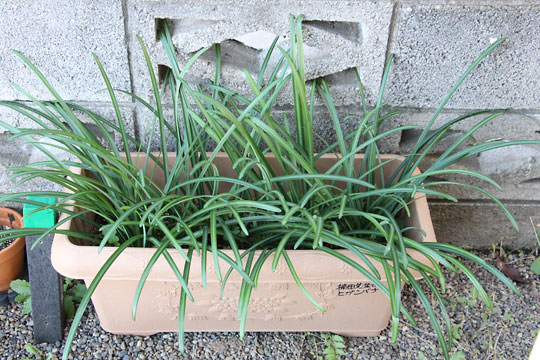 f:id:takahikonojima:20171209104445j:plain