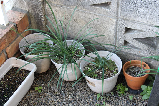 f:id:takahikonojima:20171217200058j:plain