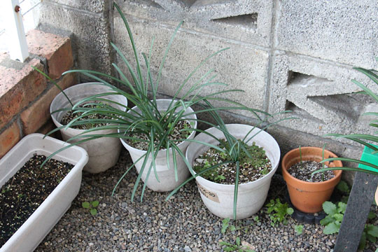 f:id:takahikonojima:20171217200110j:plain