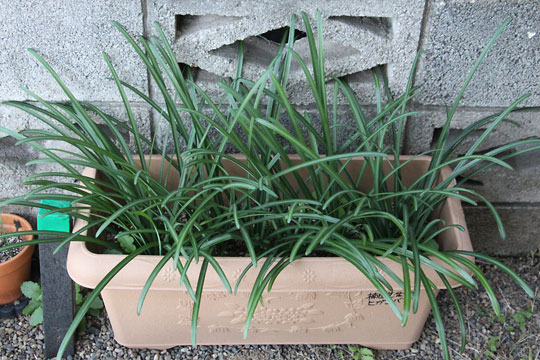 f:id:takahikonojima:20171217200116j:plain