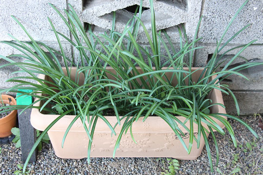 f:id:takahikonojima:20171217200131j:plain