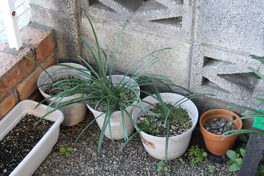 f:id:takahikonojima:20171217200137j:plain