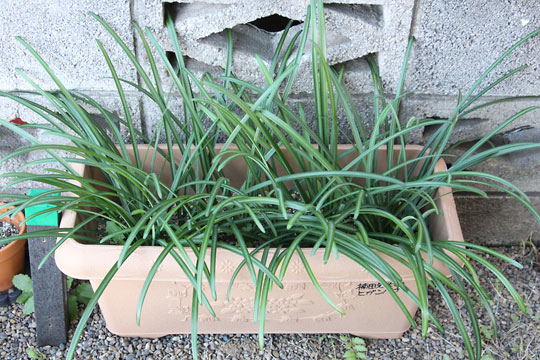 f:id:takahikonojima:20171217200142j:plain