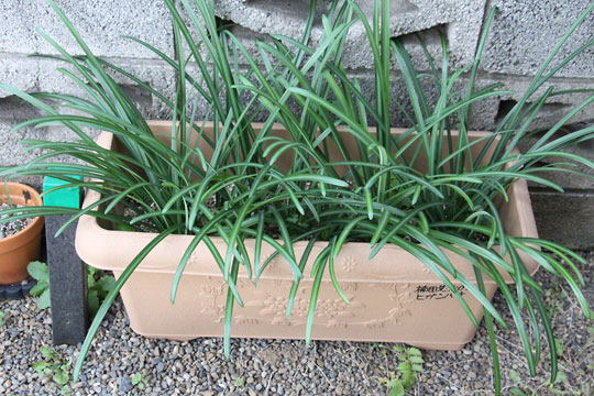 f:id:takahikonojima:20171217200154j:plain