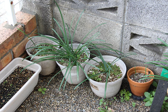 f:id:takahikonojima:20171217200200j:plain