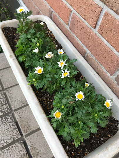 f:id:takahikonojima:20171218152405j:plain