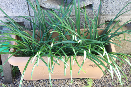 f:id:takahikonojima:20171225144839j:plain