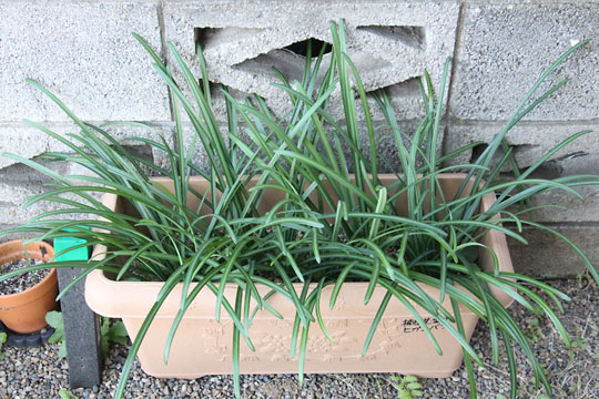 f:id:takahikonojima:20171225144855j:plain