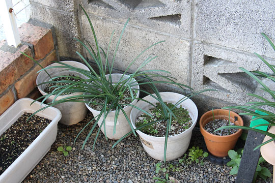 f:id:takahikonojima:20171225144906j:plain