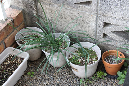 f:id:takahikonojima:20171225144925j:plain