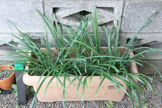 f:id:takahikonojima:20171225144932j:plain