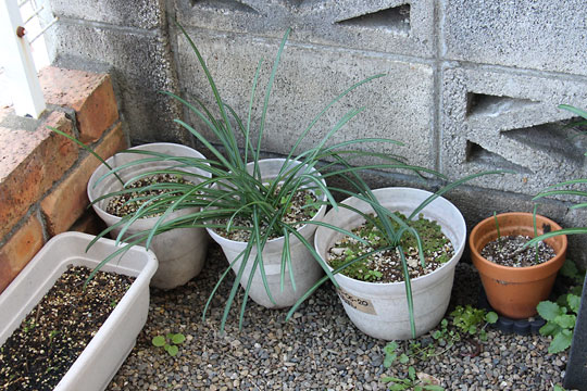 f:id:takahikonojima:20171225144940j:plain