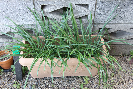 f:id:takahikonojima:20171225144946j:plain