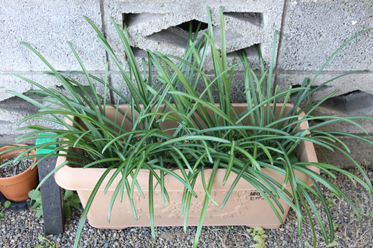 f:id:takahikonojima:20171230103034j:plain